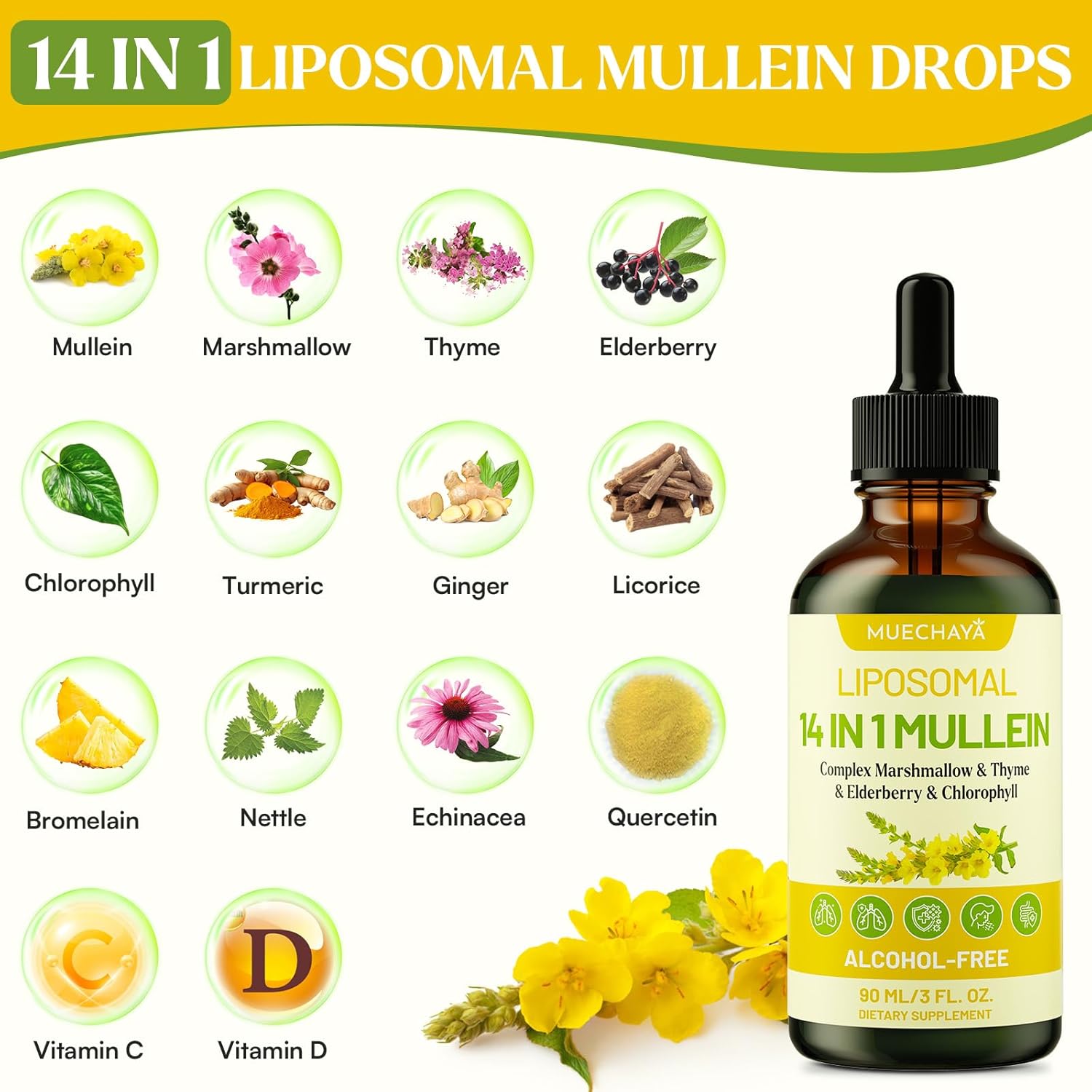 Mullein Drops For Lungs, Liposomal 14 In 1 Mullein Leaf Extract For Lungs, Mullein Drops with Elderberry, Chlorophyll, Thyme - for Lung Cleanse, Detox, Respiratory, Immune Health, 3 Fl 0Z, Mint Flavor - Image 5