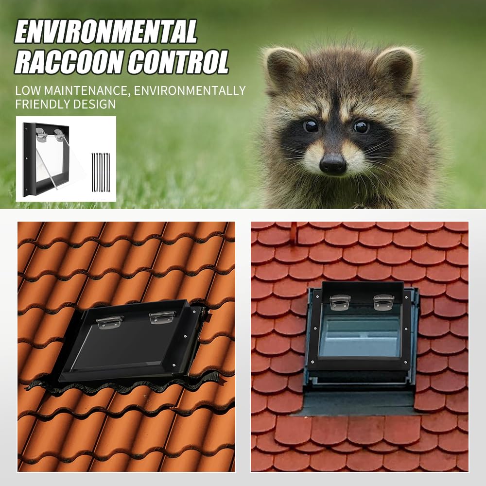 Raccoon One Way Eviction Door - Raccoon Traps, One Way Door Racoon