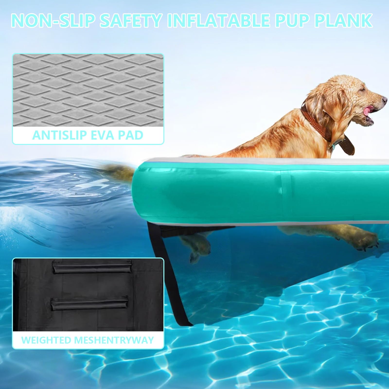 Pool Rampe für Hunde, Aufblasbare Bootsrampe für Hunde, rutschfeste Schwimmende Leiter aus Eva für Pool, Boot, Dock, sicherer und einfacher Zugang zum Wasser für große Hunde, Grün