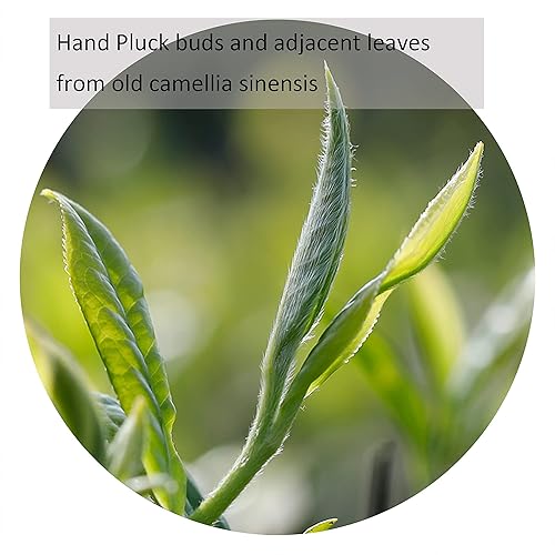 Miniatura 4 de Taimei Teatime Procelain - Juego de 9 teteras 372 onzas con taza y platillo juego de 4 paquetes con té negro chino Bailin Congou té de hojas sueltas