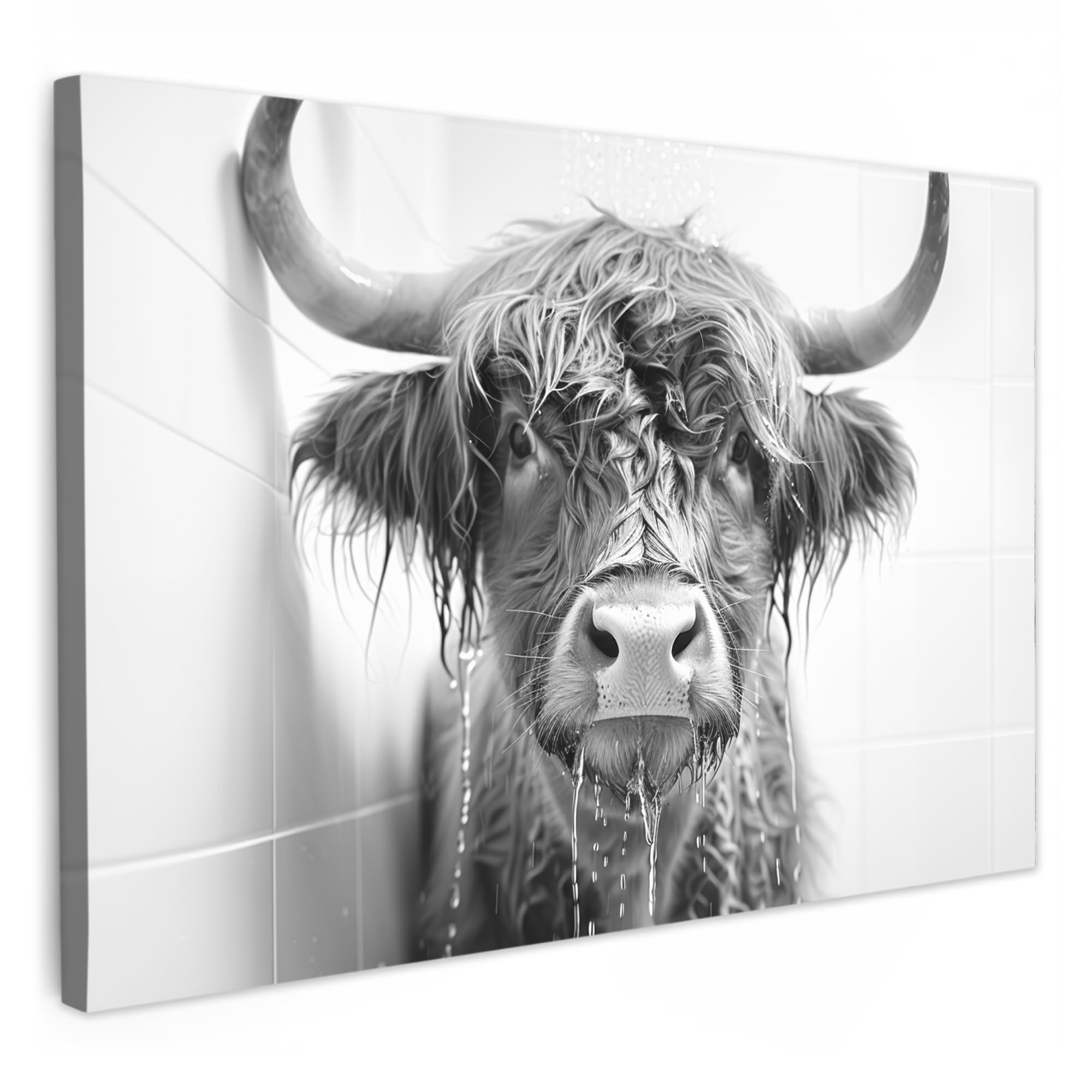 MuchoWow© Canvas Wall Art 120x80 cm Decor Prints for Living Room Decorative Canvases Hall Artwork Scottish Highlander - Shower - Cow - Black and white - Humour