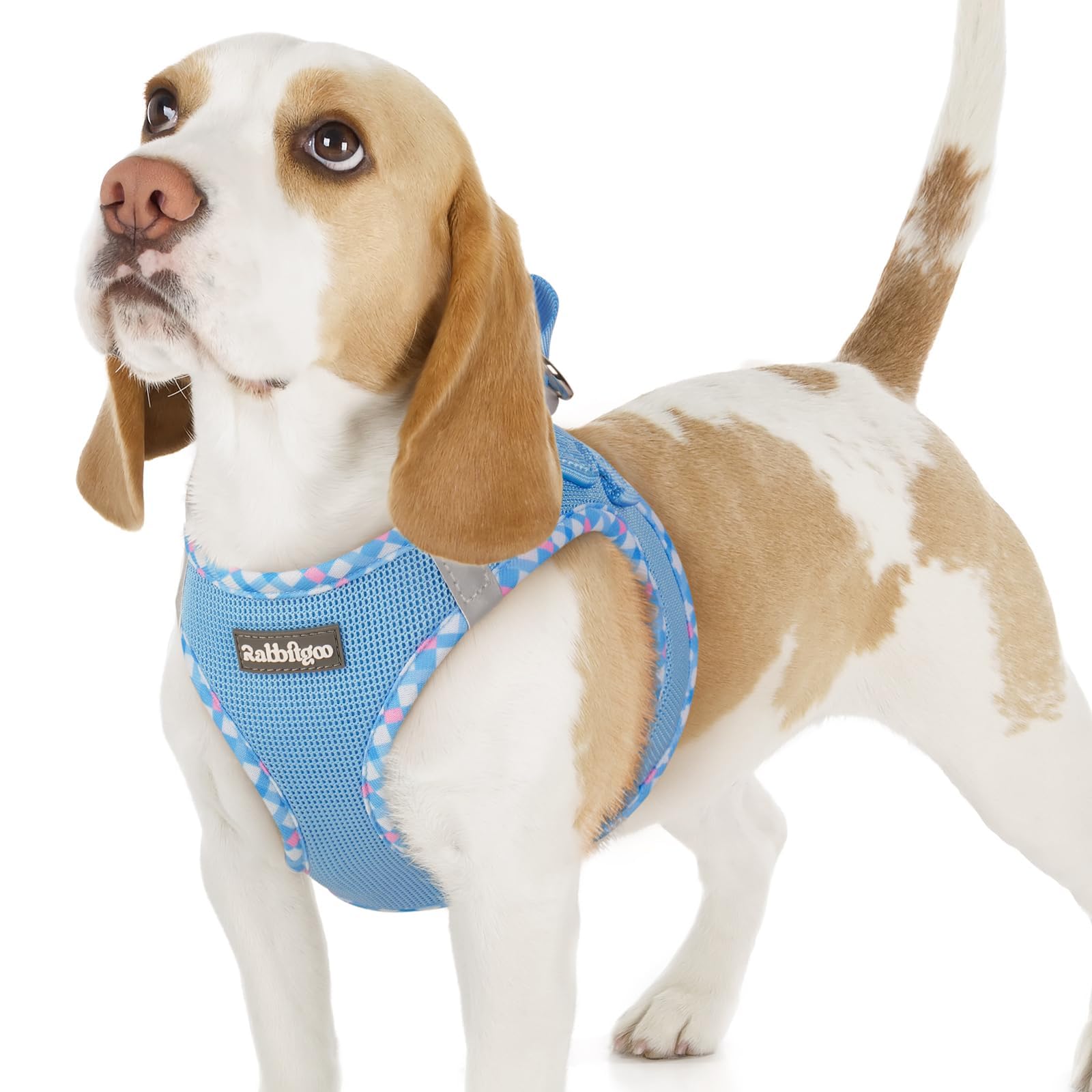 rabbitgoo Dog Harness Small Dog, Step-in Soft Mesh Puppy Harness with Reflective Strips, Lightweight Breathable Pet Vest for Walking Training, Blue & Plaid Trim, M