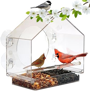 Explore Bird Feeders For Cardinals Amazon Com