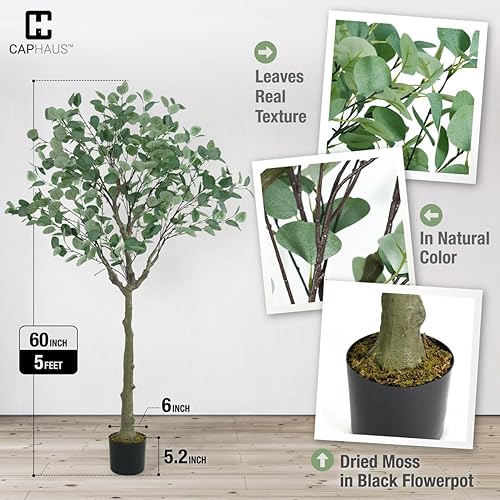 Miniatura 6 de CAPHAUS Árbol de eucalipto artificial de 5 pies y 60 pulgadas, plantas artificiales naturales grandes para interiores y exteriores, decoración del