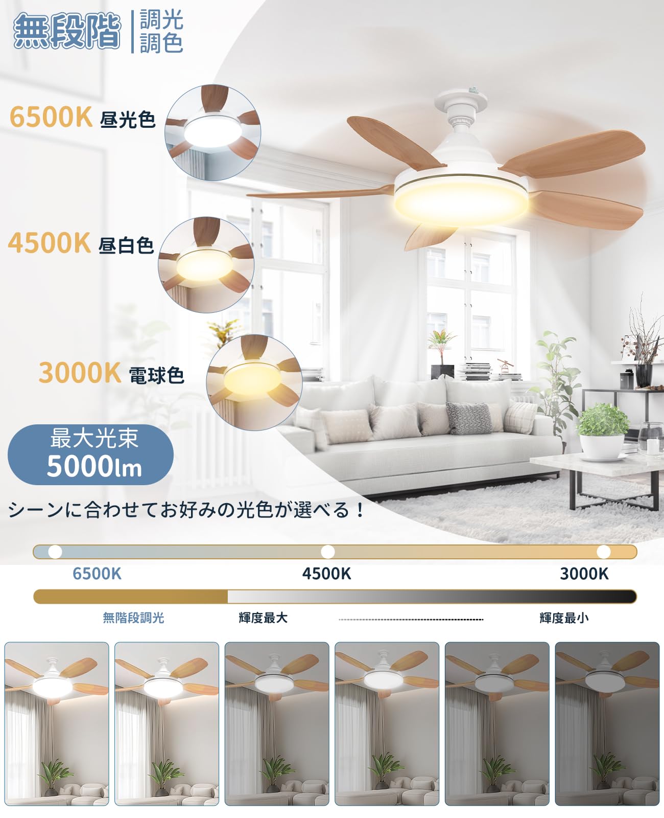 Amazon.co.jp : SUKITEN シーリングファンライト 8-10畳 Φ81cm 【2026