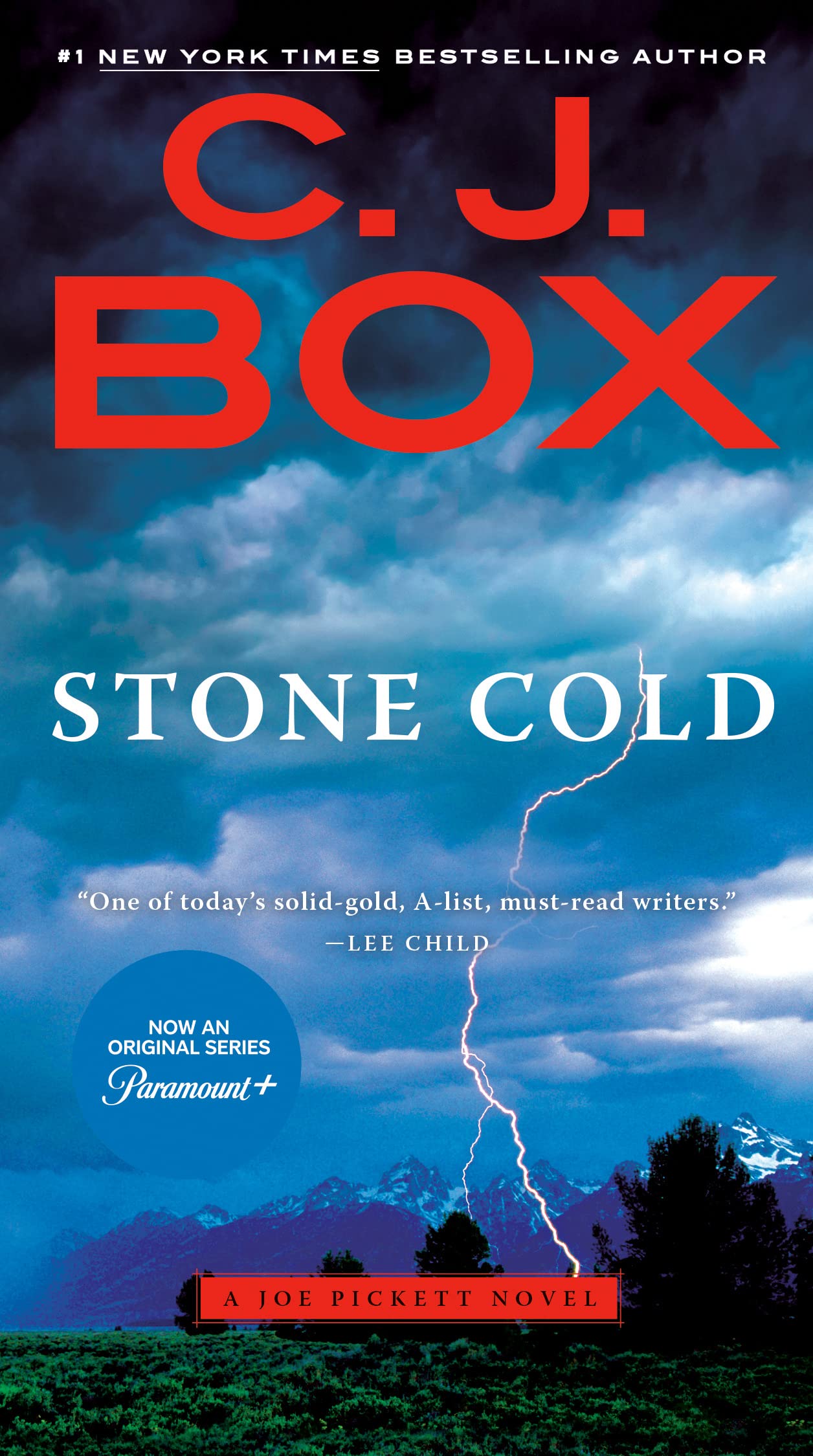 Stone Cold (A Joe Pickett Novel Book 14)