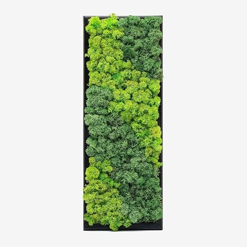 Luminamoss Vertical Preserved Moss Wall Art, Handmade Botanical Wall Decor