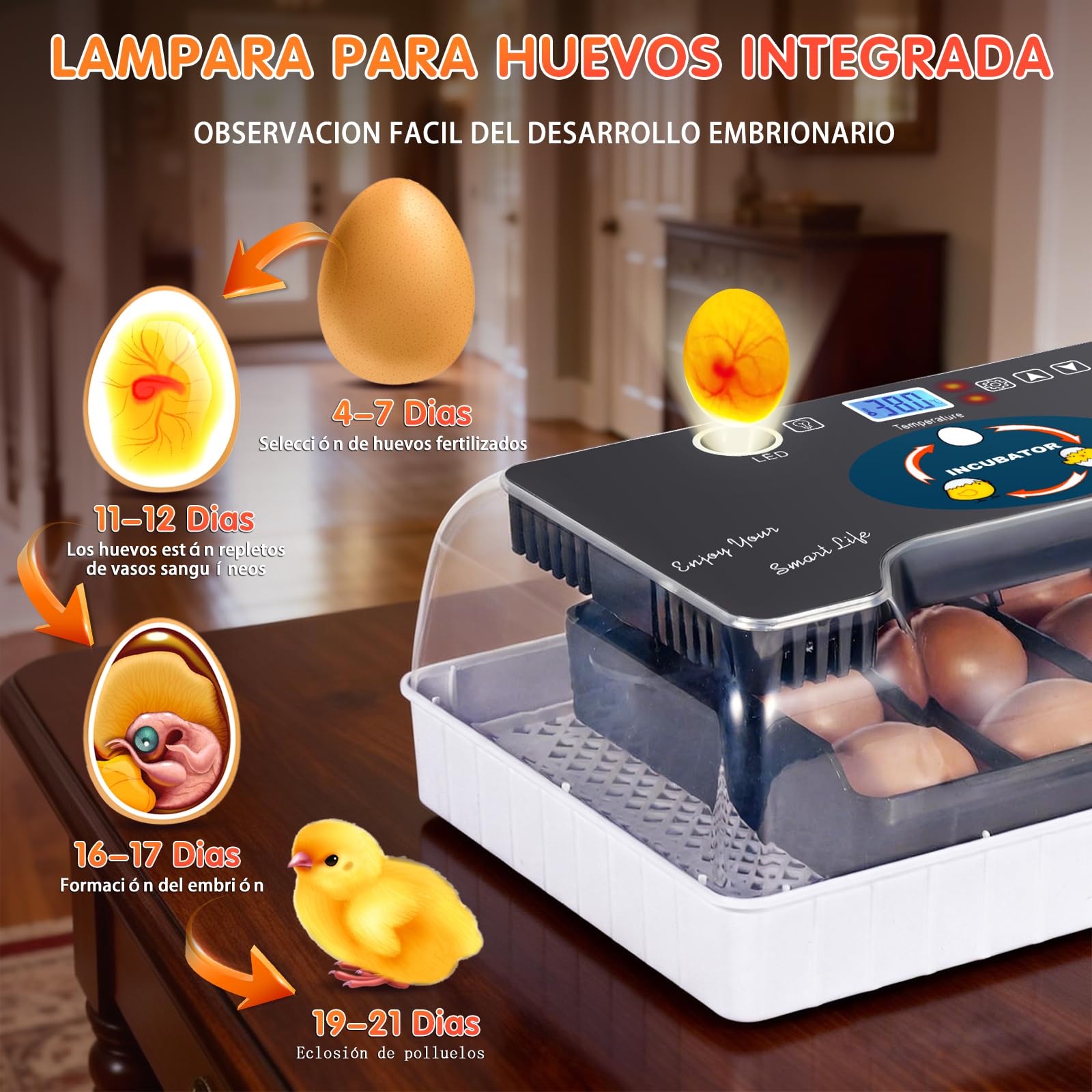 Incubadoras de Huevos Automaticas,Incubadora con Control de Humedad, Incubadora de Laboratorio con Pantalla Digital e IluminacióN LED Para Pollos, Patos, Gansos y Codornices(EU)