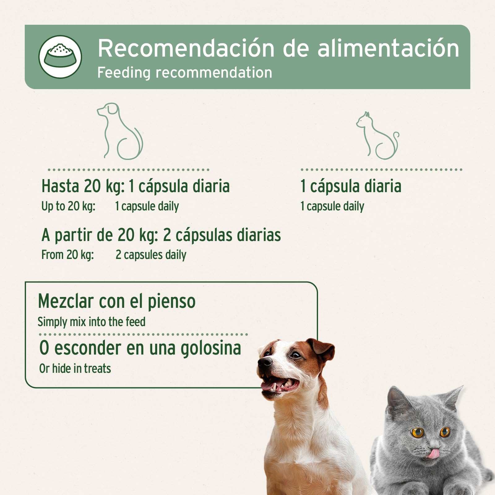 AniForte cápsulas de Aceite de salmón para Perros y Gatos 500 Unidades - valioso Aceite de Pescado Omega 3 y 6 y vitaminas para el metabolismo, la formación ósea y un Pelo Brillante