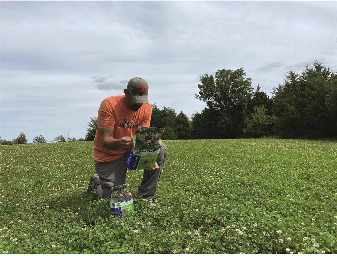Crush Pro Clover Deer Food Plot Seed, Food Plot Seed for Spring or Fall Planting, 6 Highly Palatable Clover Varieties, 8 lbs (1 Acre)