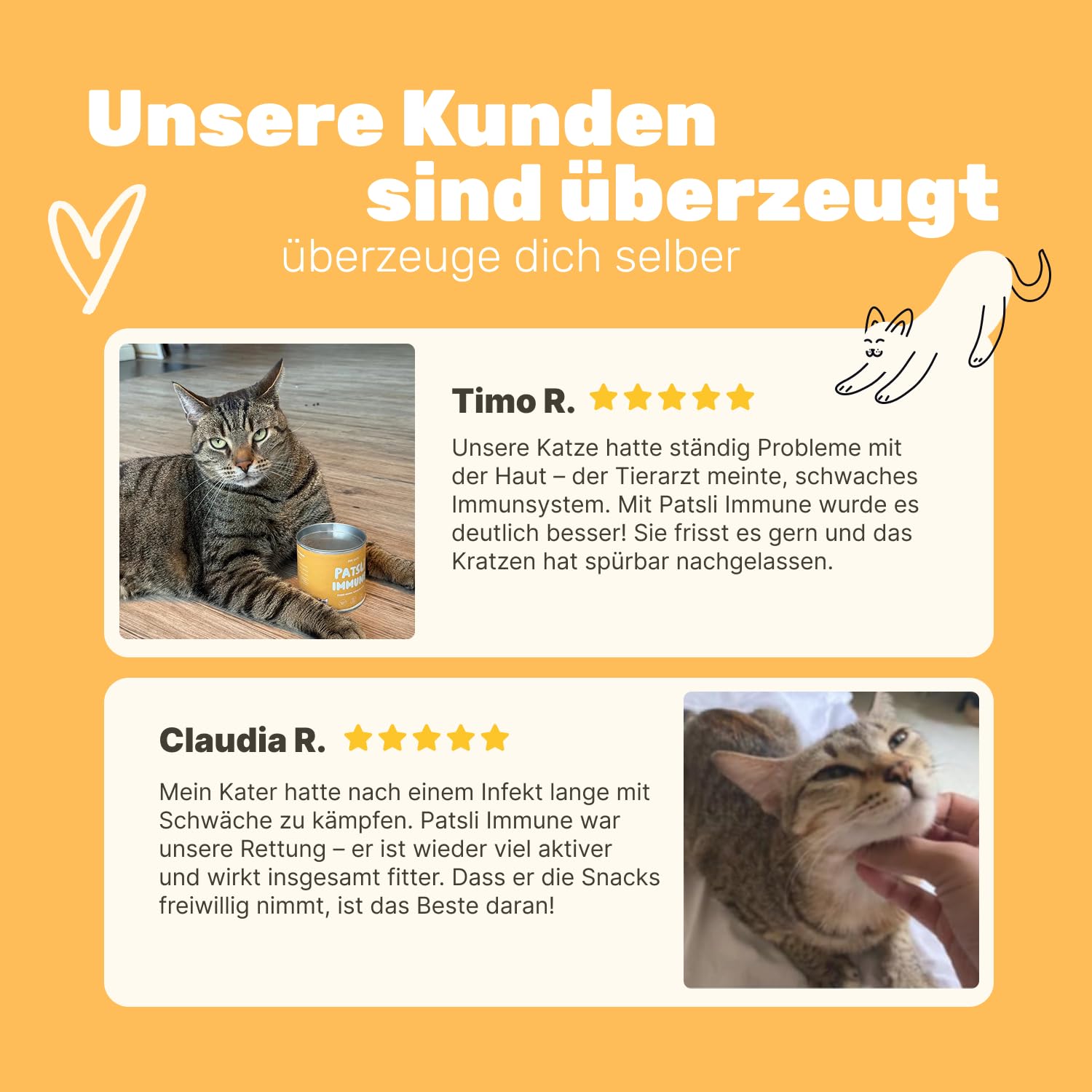 4-in-1 Immunsystem Leckerli für Katzen | Stärkt Abwehrkräfte mit Inulin, Hagebutte & Vitaminen | Ergänzungsfuttermittel für Katzen | Immunsystem Katze | Tierärztlich entwickelt | Patsli Immune