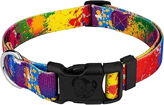 Country Brook Petz - Deluxe Paint Splatter Dog Collar - Made in The U.S.A. - Groovy Collection Featuring Far Out Designs (1 Inch, Medium)