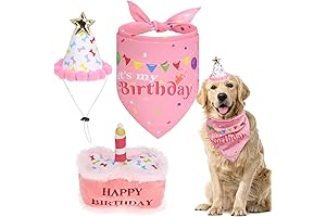 Dog Birthday Party Supplies Kit - Celebrate Your Furry Friend's Big Day...