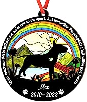 Vista 10 de Adorno de atrapasoles de setter irlandés personalizado, adorno de Navidad de Setter irlandés, regalo para perro amante, setter irlandés