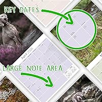 Vista 102 de Razas de Perros 2017