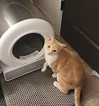 Review Image by Jacky Jacky