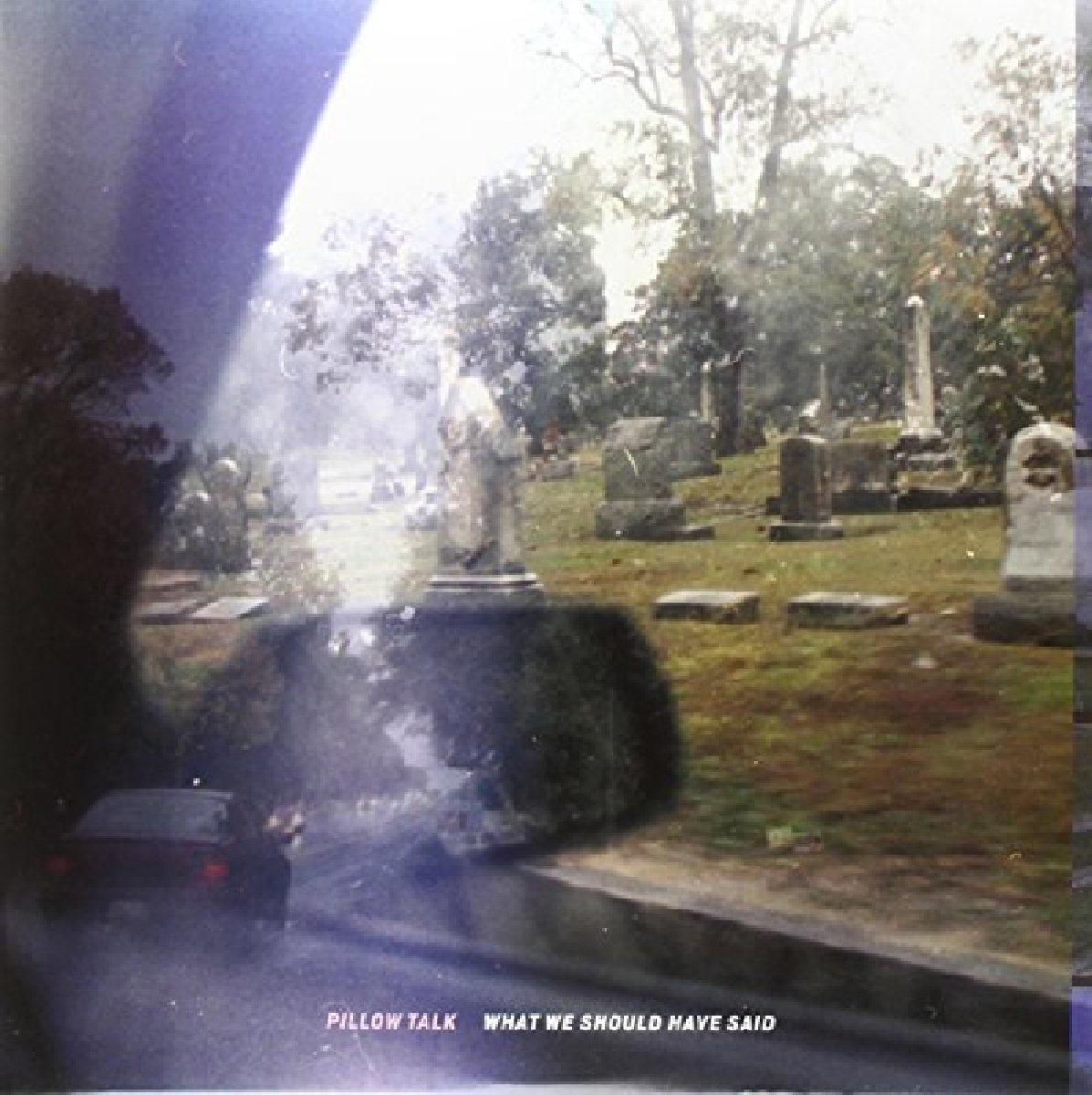 What We Should Have Said [VINYL]
