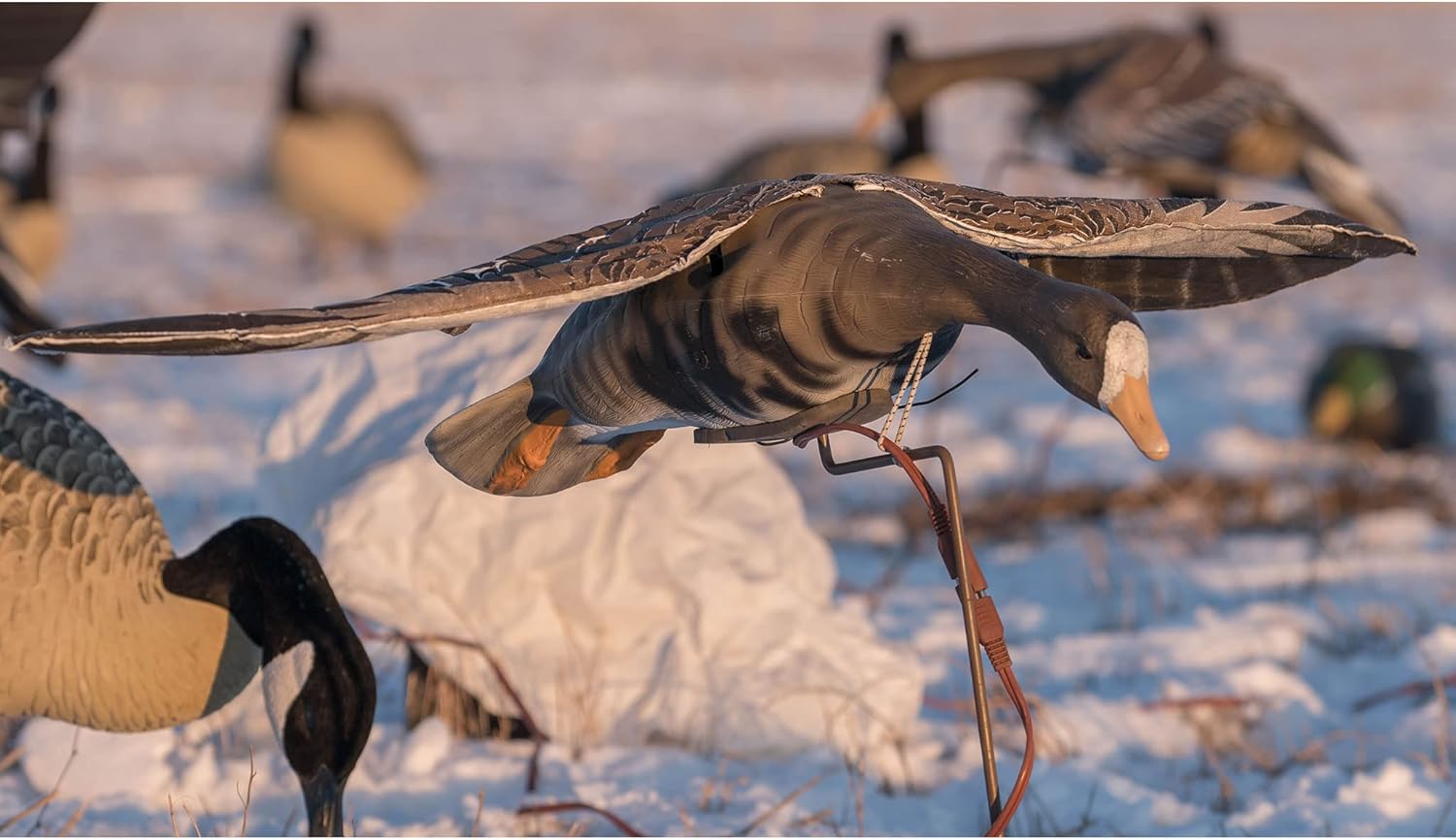 Higdon Outdoors Clone | Flapping Motion Decoy with Adjustable Wing Speed | Includes Carry Bag, Stand, Power Cord & Remote | Duck & Goose Species: Canada, Blue, Snow, Specklebelly, Mallard Drake & Hen