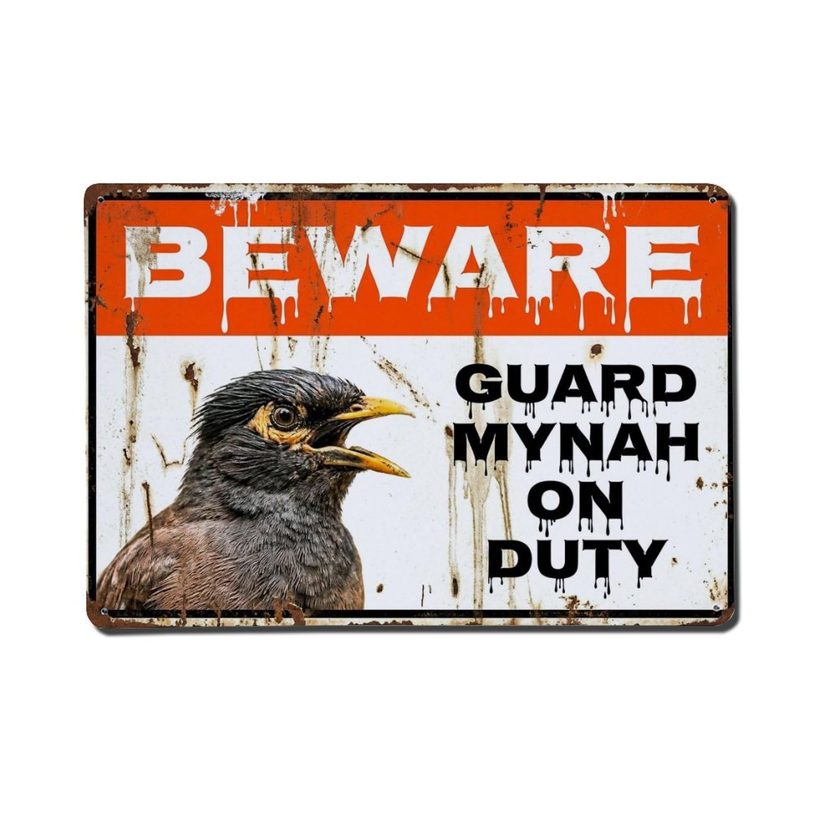 Vintage Funny Mynah Guard Beware of Bird Patio Metal Tin Sign
