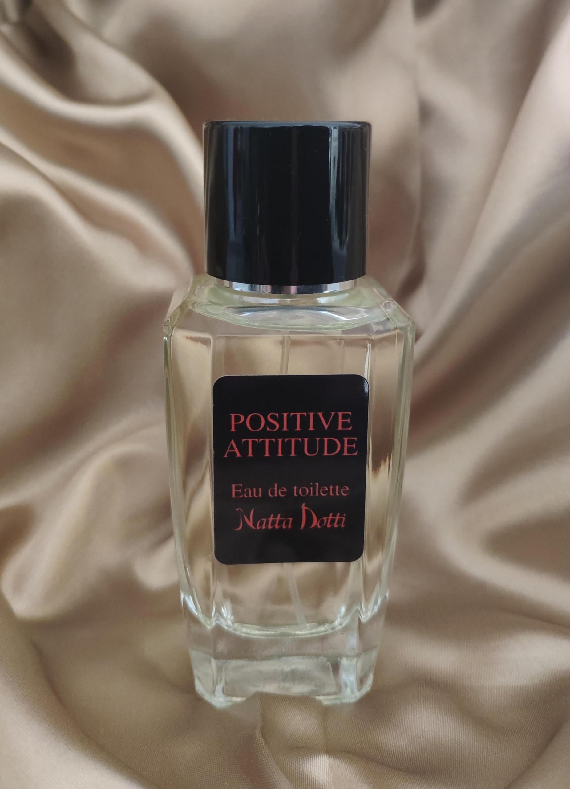 Eau de Toilette pour Homme - POSITIVE ATTITUDE - Parfum Boisé - NATTA DOTTI (100 ml)