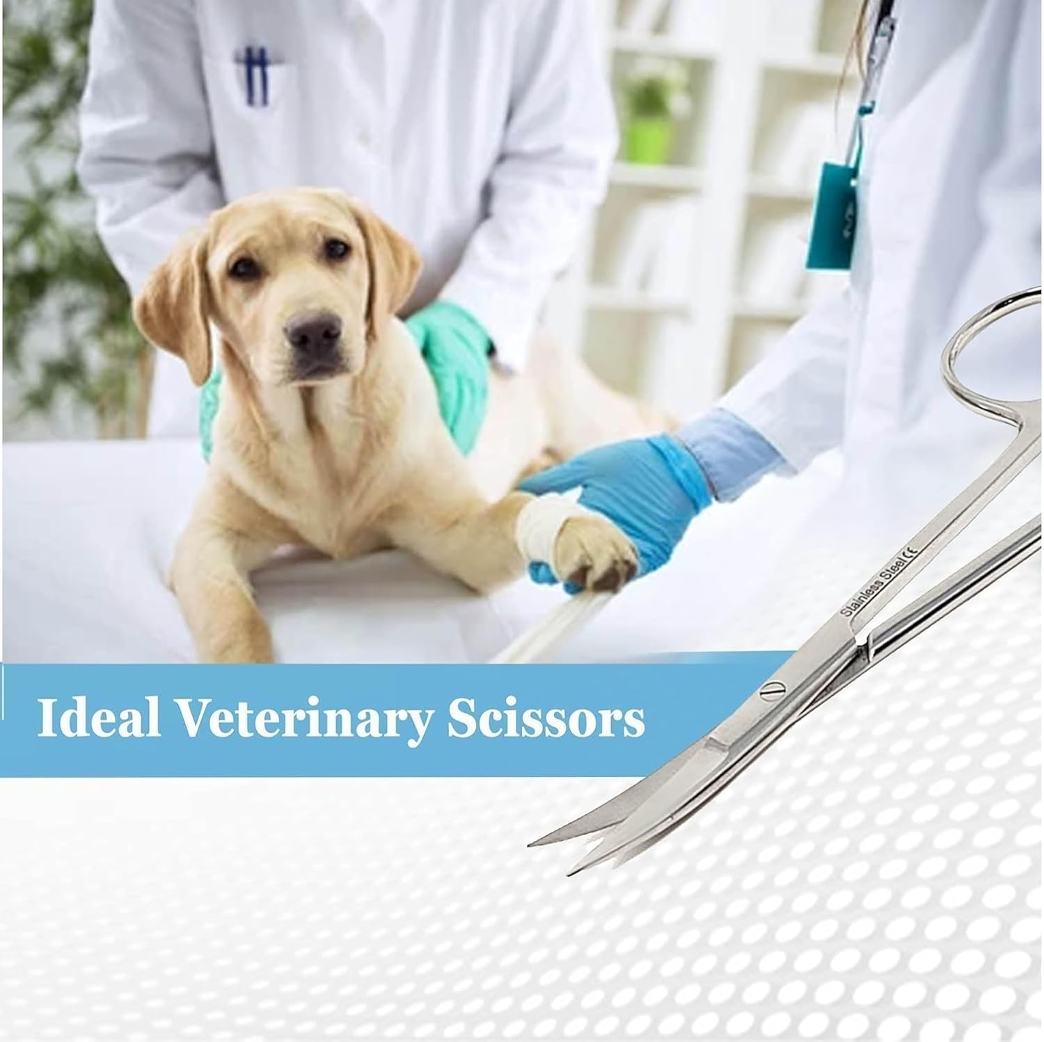 Micro Dissecting Scissors Curved Fine Point - for Doctors,