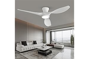 TALOYA 52 inch Ceiling Fan with Lights and Remote Control