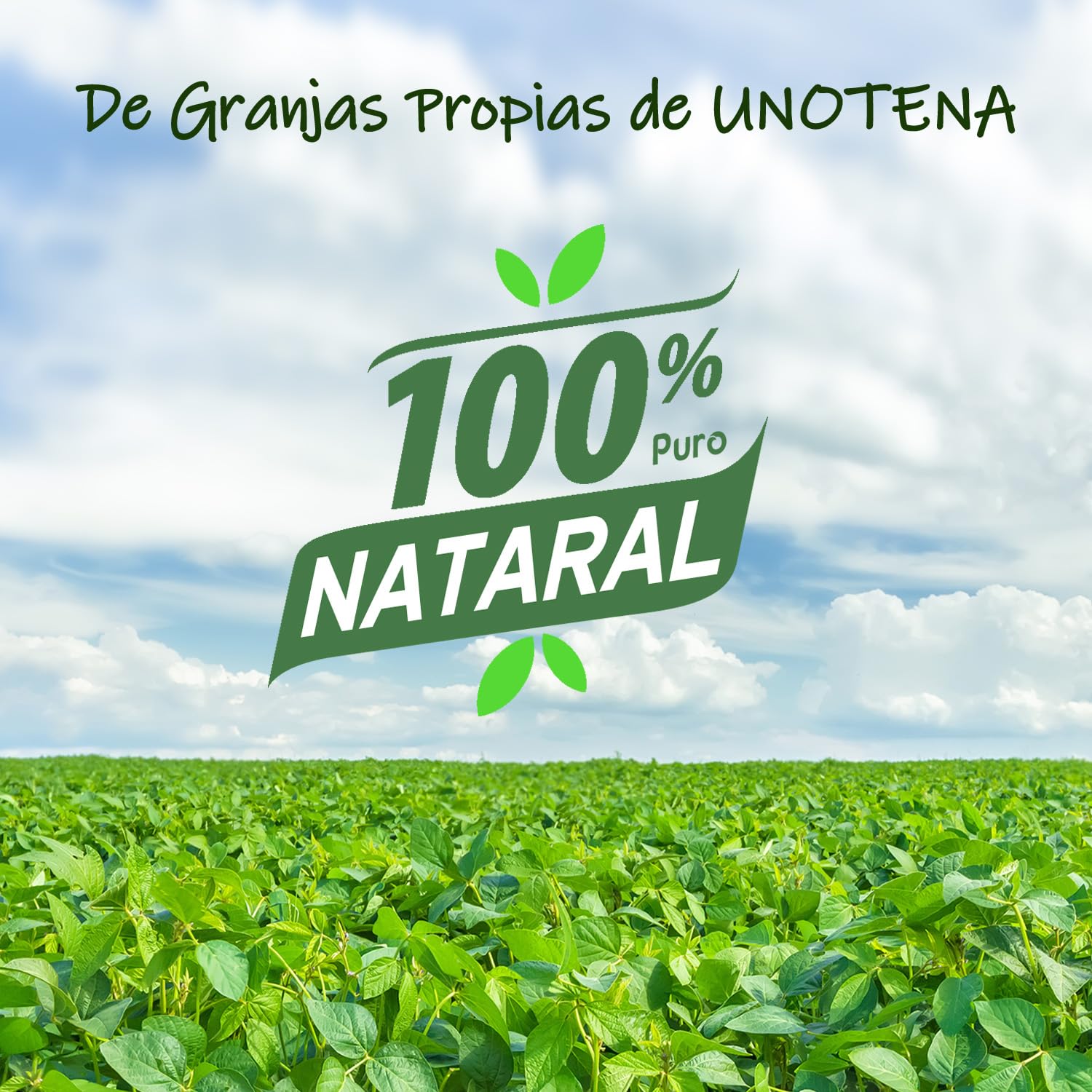 UNOTENA Cera de Soja Para Velas, Cera Para Velas 226g/9kg/18kg, Cera de Soja Orgánica 100% Natural Para Velas[ 18KG ]