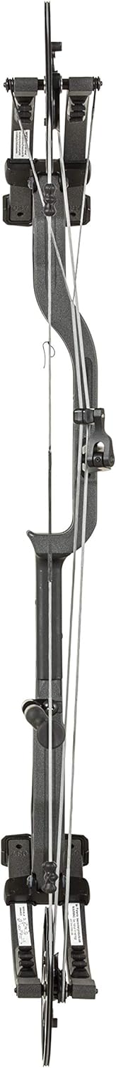 Bear Archery AV96A30107R Divergent Iron RH 70 : Sports & Outdoors
