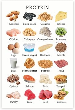 BMCP0469 - Healthy Eating Nutrition Chart - Protein Food Groups & Facts - Food Pyramid Poster - 12 x 18 Inch - Unframed - Premium 100lb Gloss - Made In USA