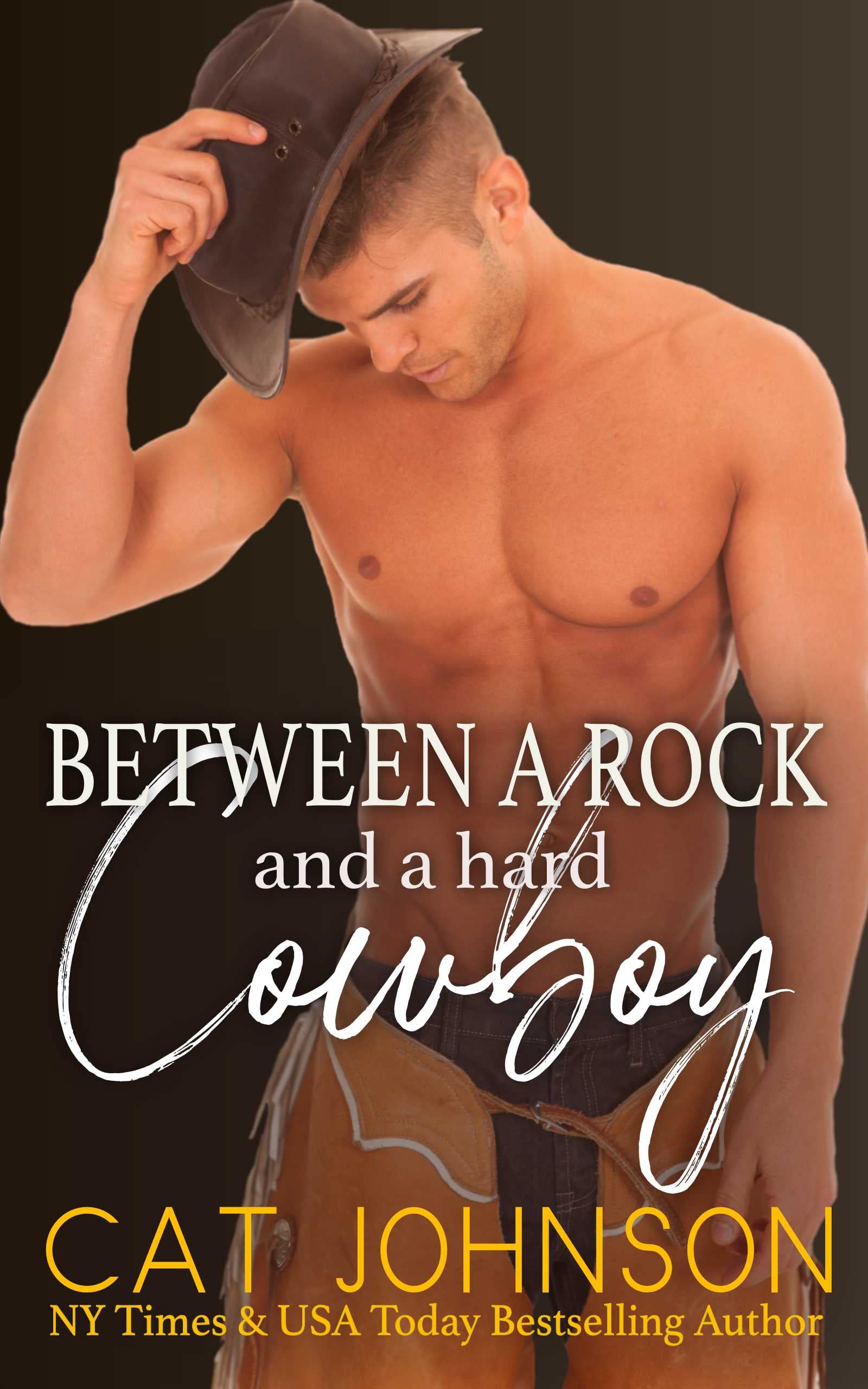 Between a Rock and a Hard Cowboy: A Small Town Enemies to Lovers Romance (Wilder Brothers Book 3)