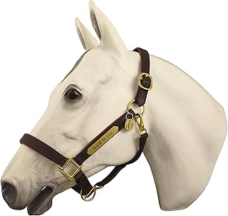 Horse Fare Products Brown with Chestnut Comfy Padded Leather Halter with Solid Brass Hardware & Customized Nameplate- Made in The USA (Horse)