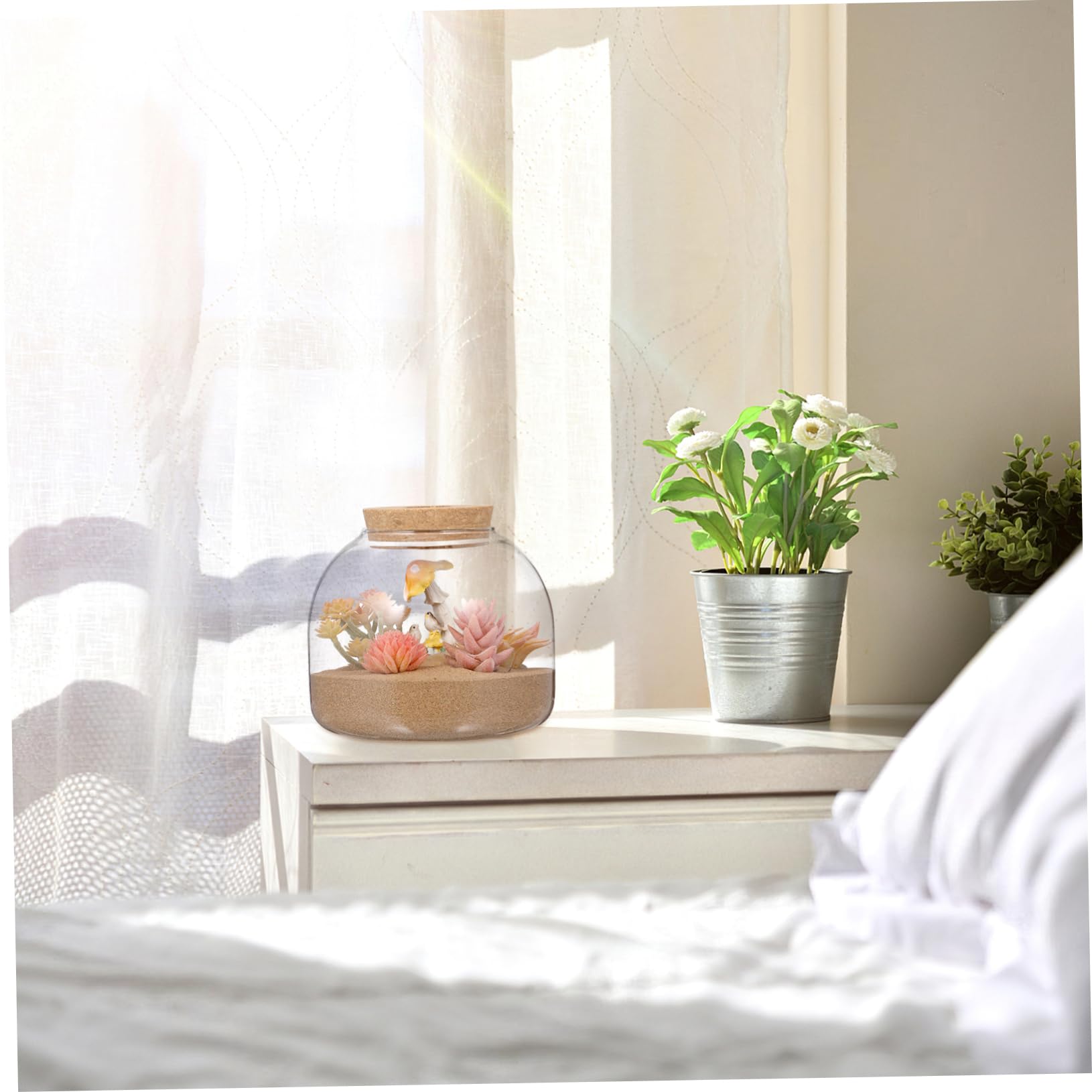 DOITOOL Glas Terrarium Pflanzgefäß für Sukkulenten und Moos Rundes Hydroponisches Kleiner Terrarium mit Korkverschluss Dekoratives Glasgefäß für Zimmerpflanzen und Selbstgemacht