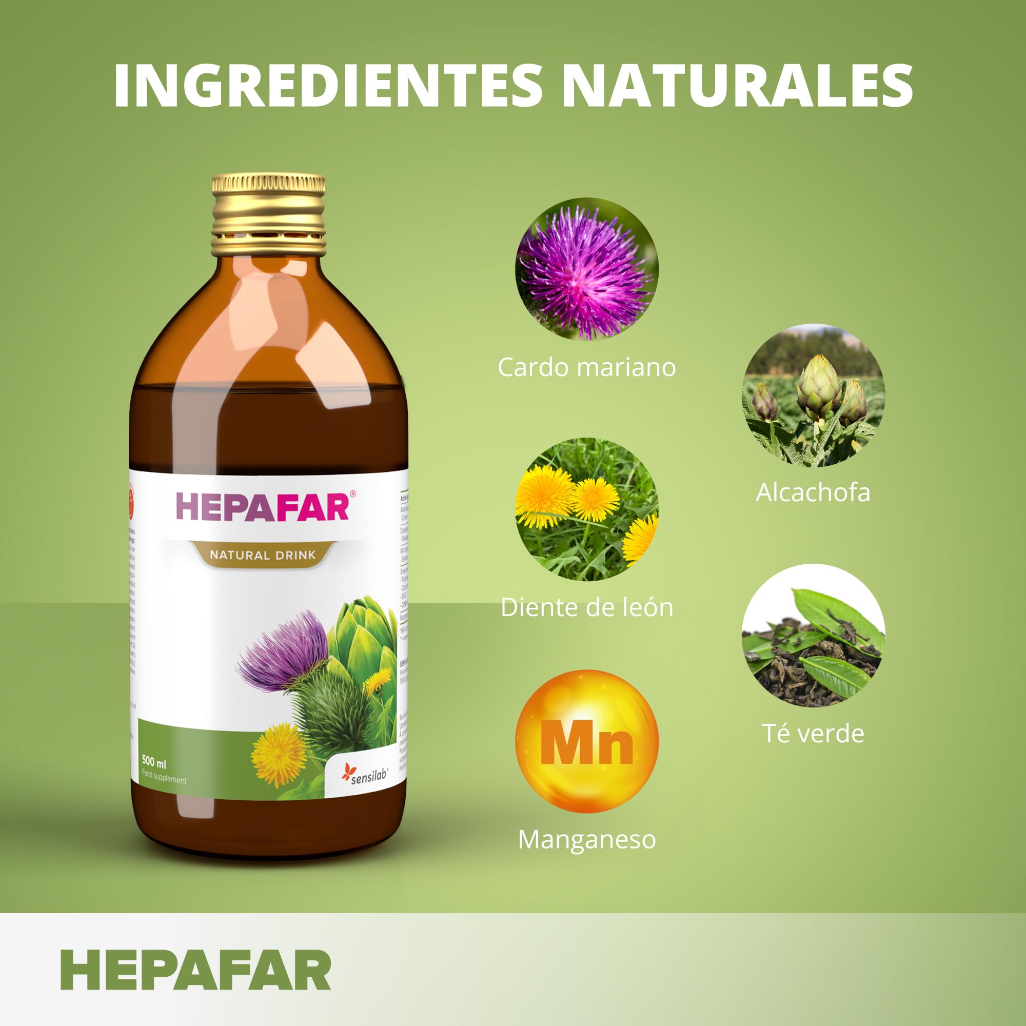 Cardo Mariano, Te Verde, Alcachofa, Diente de Leon y Manganeso - 2 x 500 ml para 40 Días - Apoyo Hepatico - Hepafar Drink Sensilab