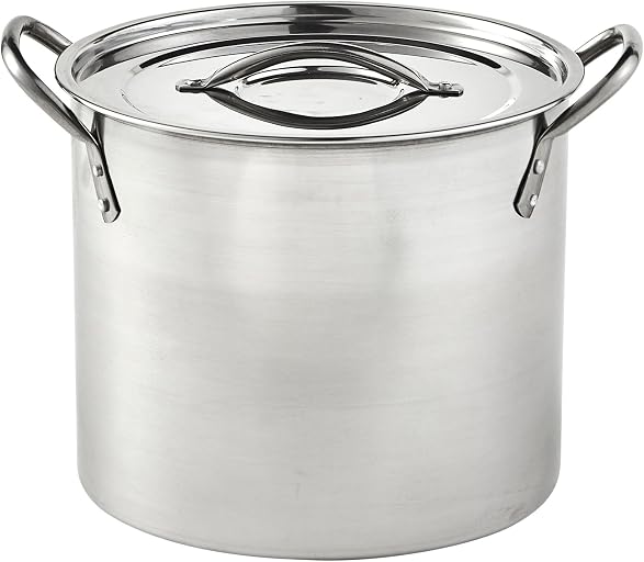 Imusa Stainless Steel Stock Pot with Lid, 20 Quart, Silver | Mirror-Polished Finish, Riveted Side Handles, Retains Heat and Moisture, Ideal for Broths, Soups, Stews, And More