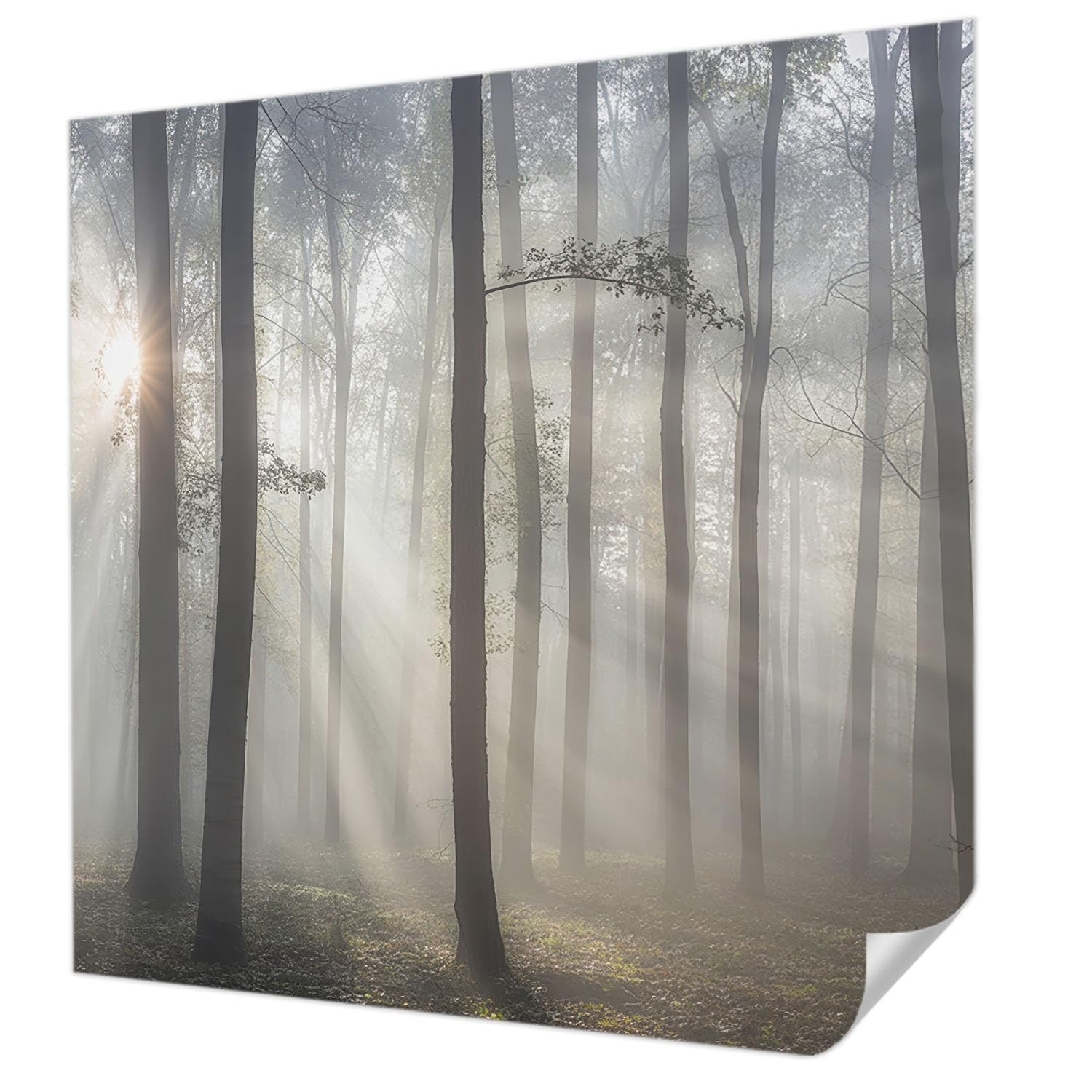 Papier peint adhésif chambre déco murale panoramique salon 250x250 Forêt éthérée