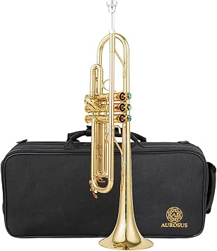 TP-180 professional bb trumpet l bore reversed gold brass leadpipe one piece hand hammered brass bell stainless steel monoblock pistons weight reduced clear lacquer backpack case mouthpiece