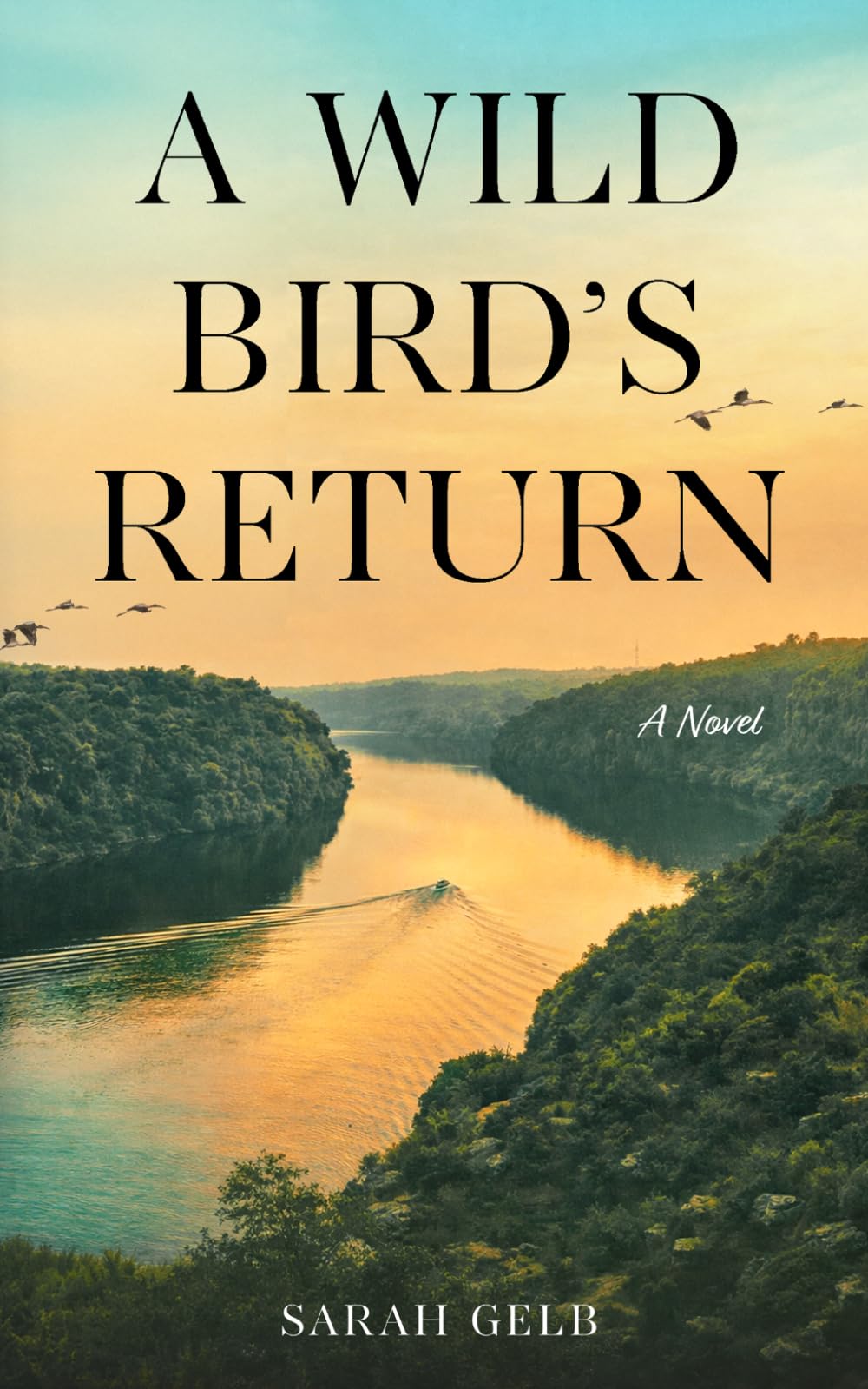 A Wild Bird’s Return: A Novel