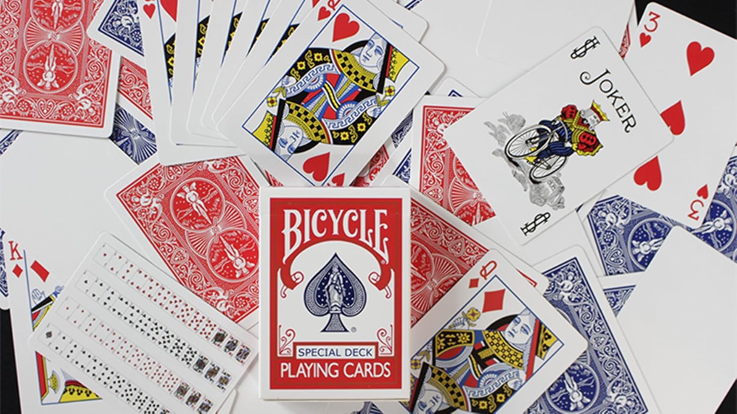Murphy's Magic Supplies, Inc. Bicycle Special Deck Playing Cards (Plus 11 Online Effects)