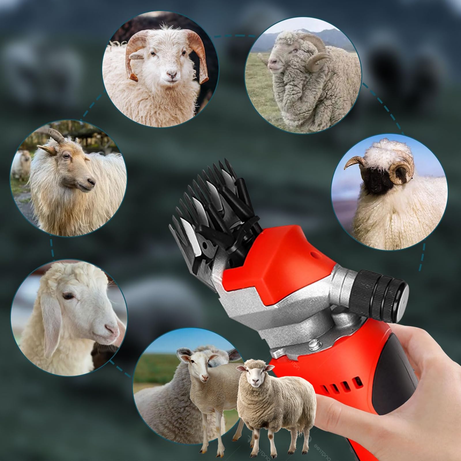 Forbici elettriche per Pecore a Batteria, con 2 batterie, Strumento di tosatura Professionale per Pecore, capre e Bestiame Rosso a 13 Denti