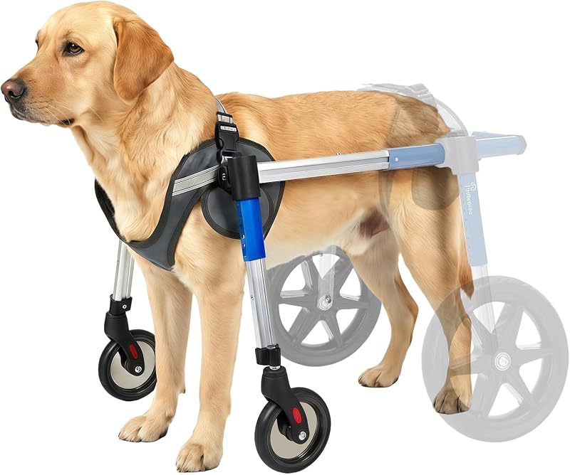 Dog Wheelchair Front Wheel Kit for Upgrading Hind Leg Wheelchair to Four Wheel Chair (L)