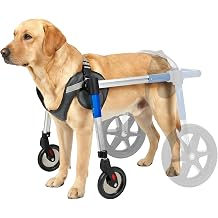 Dog Wheelchair Front Wheel Kit for Upgrading Hind Leg Wheelchair to Four Wheel Chair L