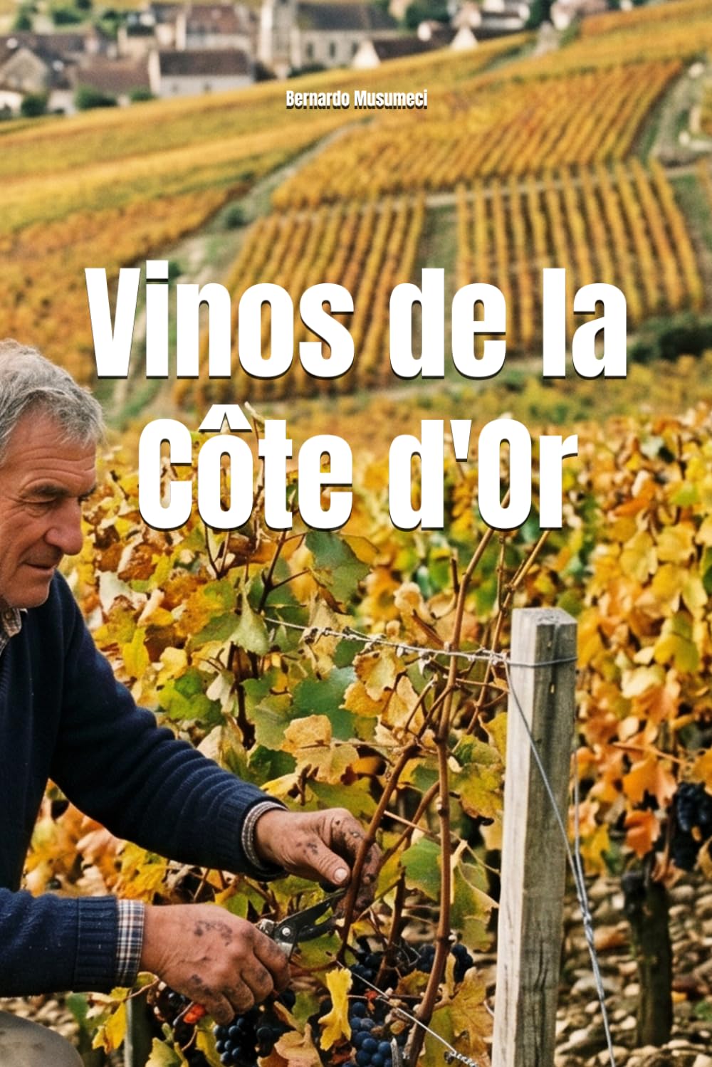 Vinos de la Côte d'Or (Wines of the World: France)