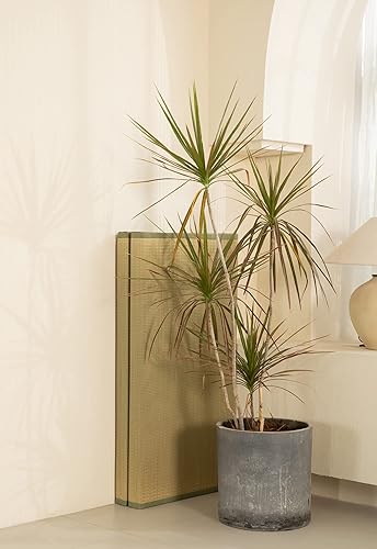 Miniatura 7 de MustMat Tatami Mat - Colchón plegable japonés tamaño individual XL, cama de tatami con bolsa de almacenamiento, 39 x 80 x 1.4 pulgadas (verde)