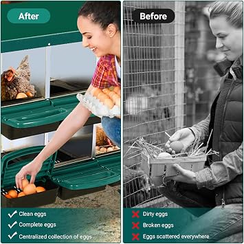 Chicken Nesting Box, 8-Compartment Heavy Duty Metal Hen Laying Box with Breathable Holes & Resting Platform, Wall Mounted/Floor Rollaway Chicken Nest Box for Easy Clean & Egg Collection, Green