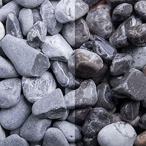 Pflanzen Kölle Donaukies schwarz/weiß 16-32 mm 10 kg