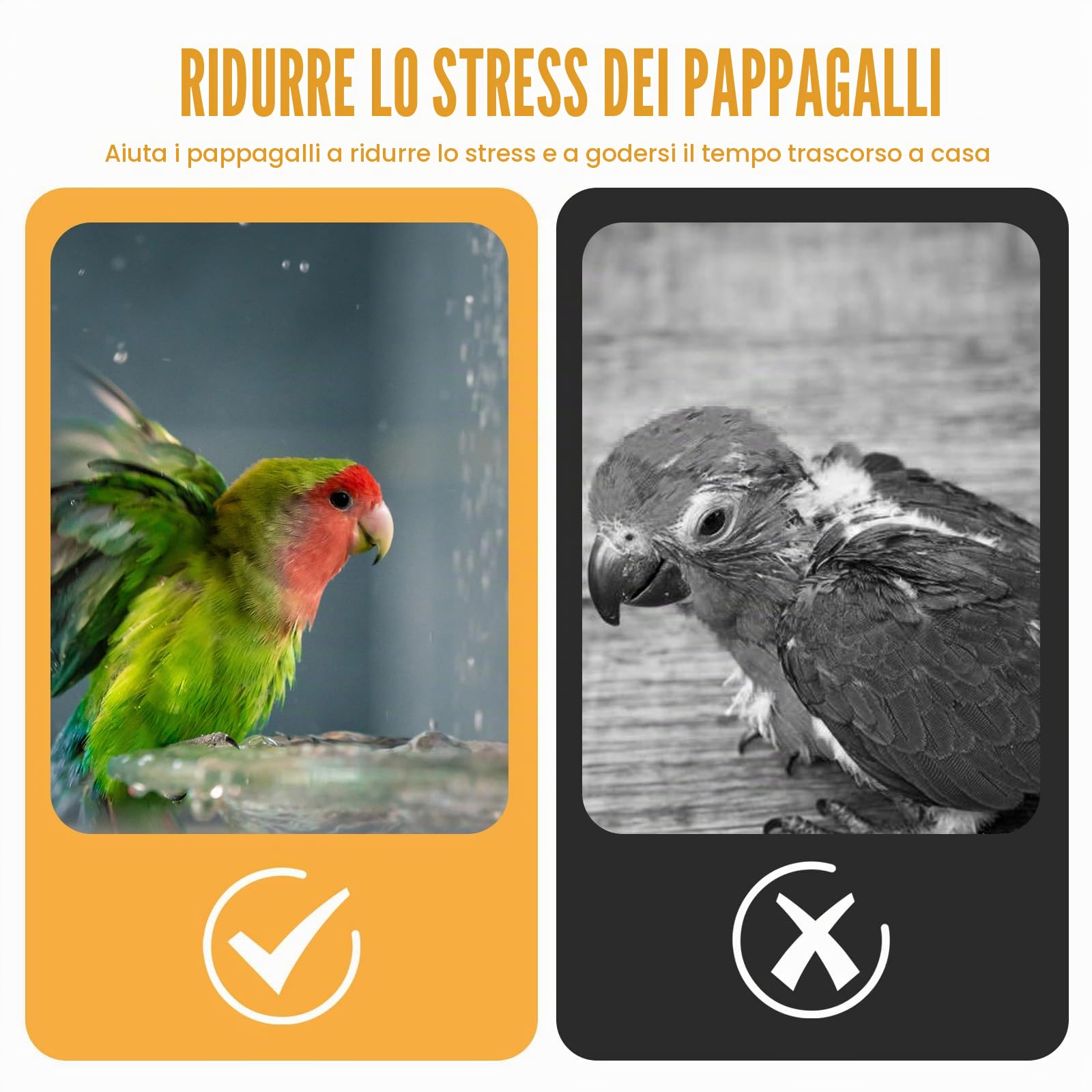 Casa da Bagno per Uccelli, Vasca Automatica con Pompa, Abbeveratoio per Uccelli con Doccia per Pappagalli, Psittacini, Uccelli (Verde, L)