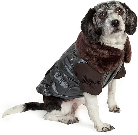 designer dog coats