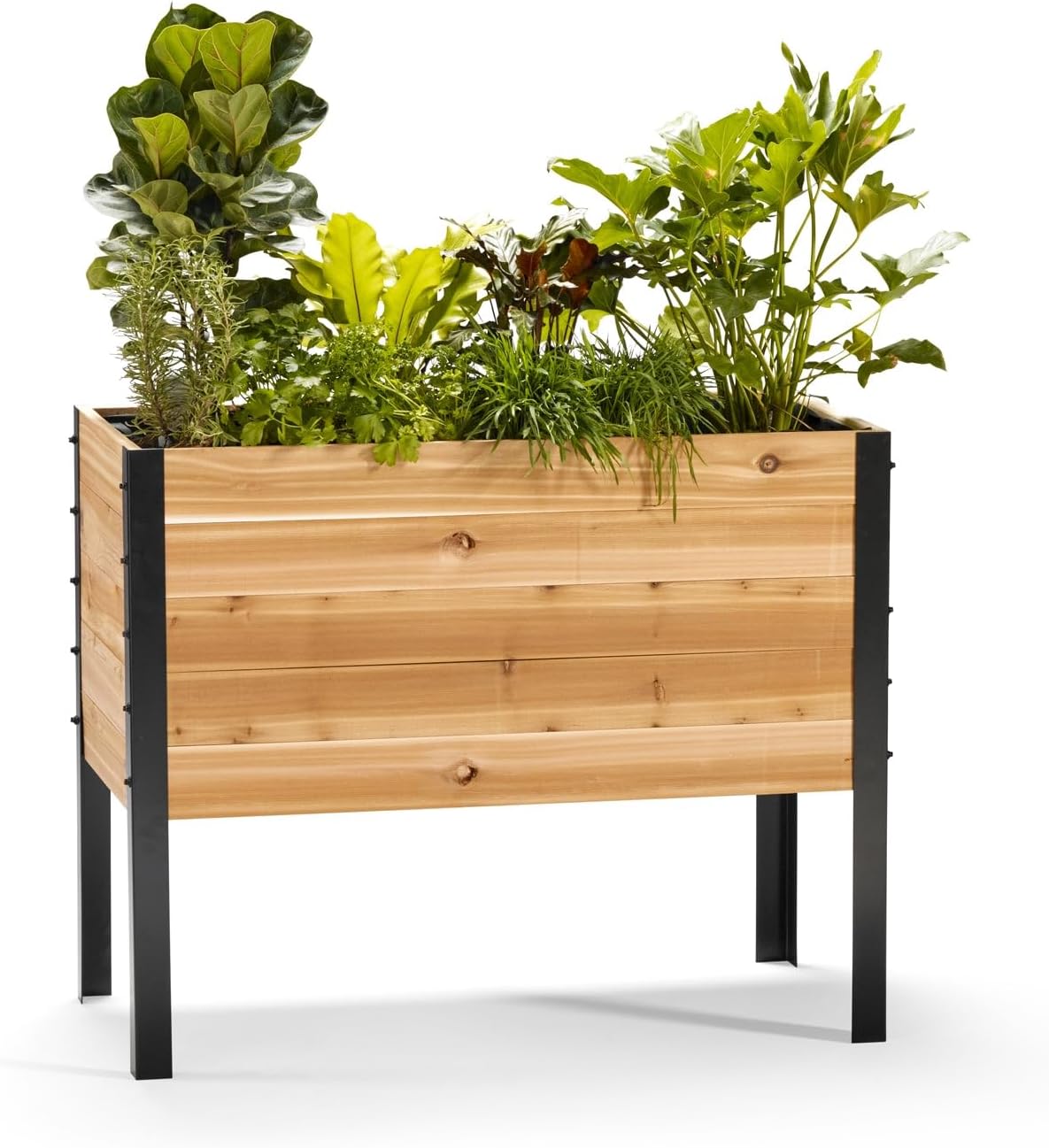 EARTH ELEVATED 100% Canadian Cedar Wood Elevated Garden Bed for Gardening - Planter Pot to Grow Herbs Flowers, and Vegetables at Home Indoor and Outdoor Patio Balcony Deck - 18” x 36” x 30”