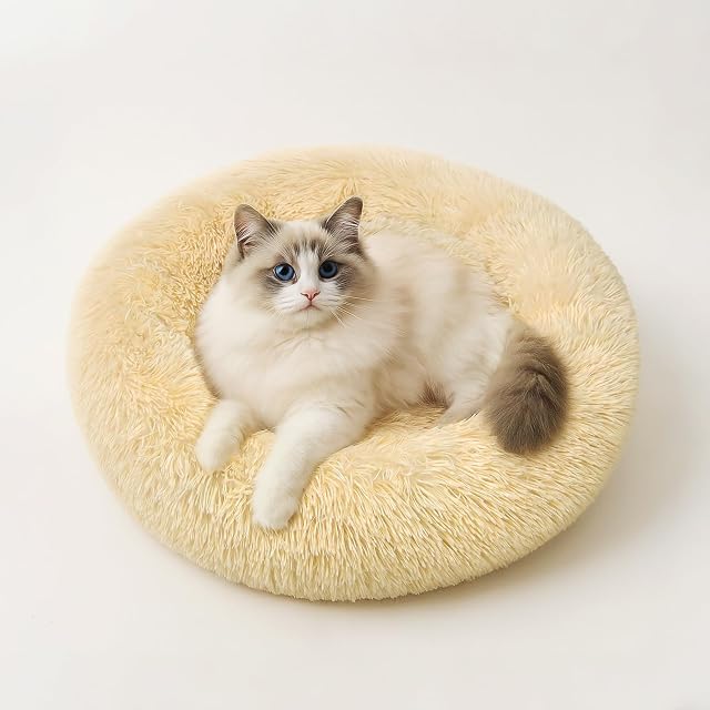 Cama Perro Pequeño 50 cm, Cama Gato Redonda y Suave de Felpa Beige Claro