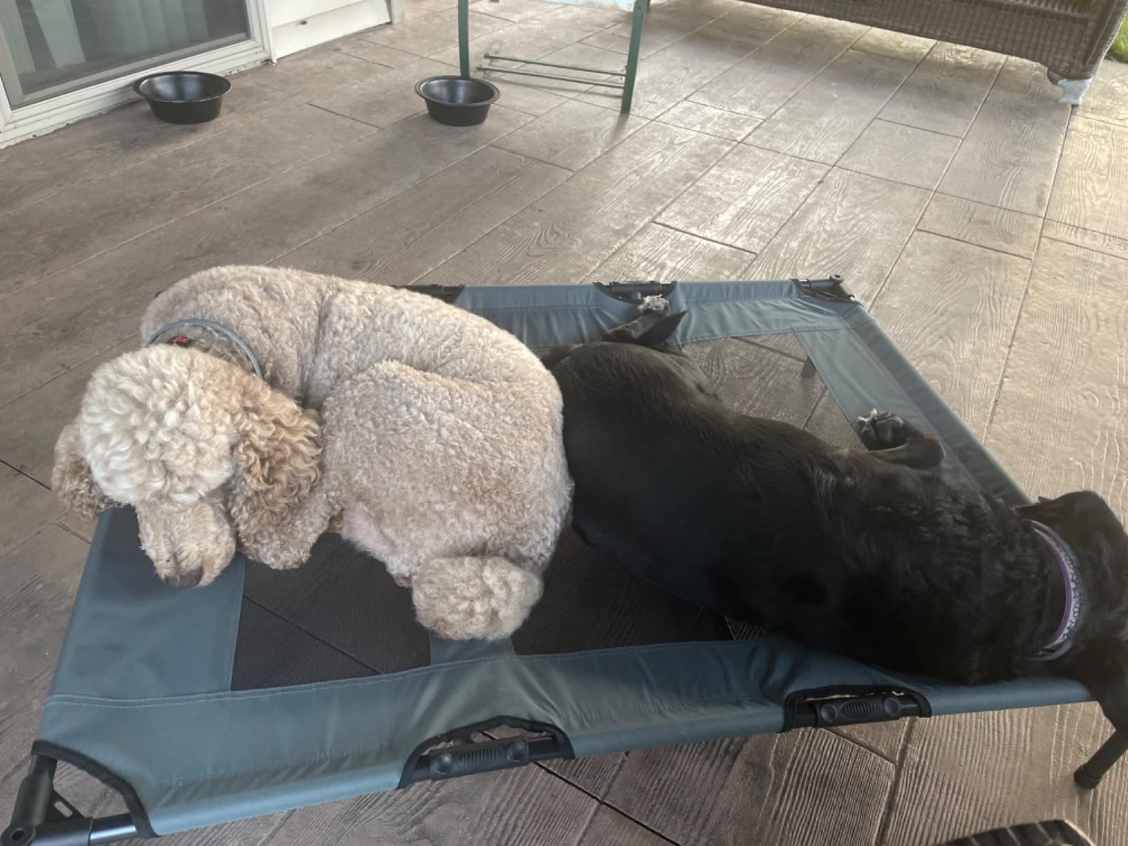 PupHut Outdoor Raised Dog Bed – XL Size Lounger with Shade Canopy